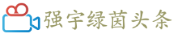 强宇绿茵头条